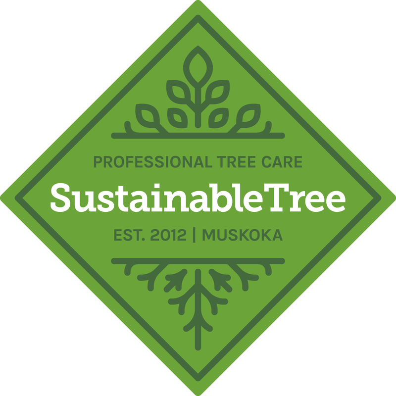 Sustainable Tree Logo Badge